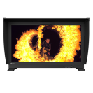 ColorEdge Prominence CG3146