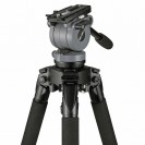 Tripod System DS20 Toggle 2 Stage alloy